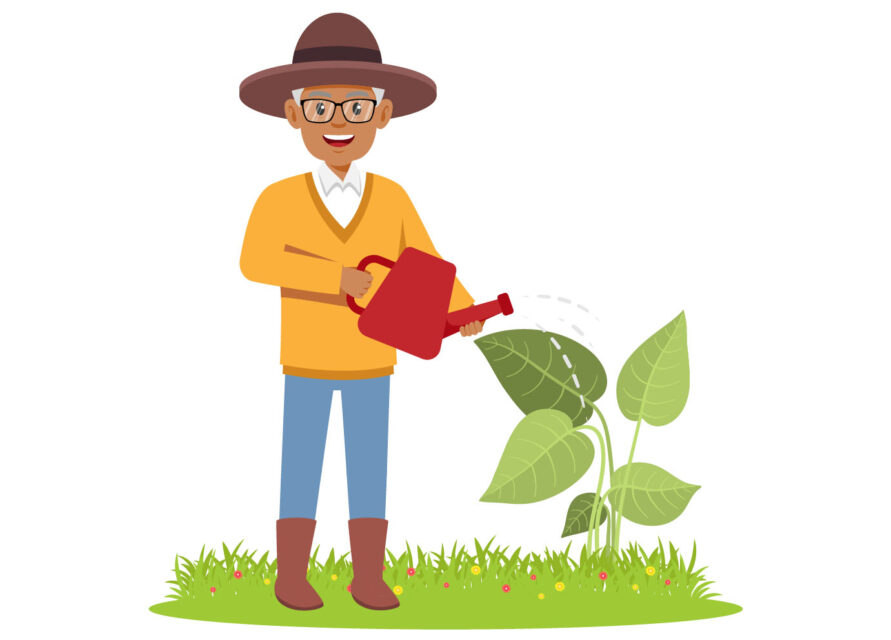 Graphic of older man gardening