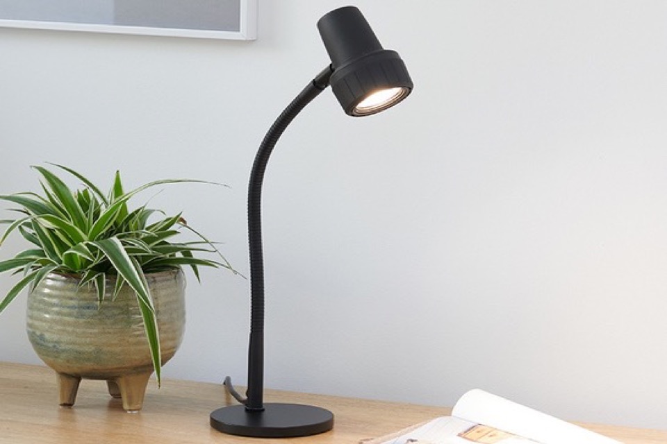 Serious Reader Reading Lamp